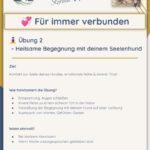 🧘‍♀️ Übung 2 – Heilsame Begegnung mit deinem Seelenhund